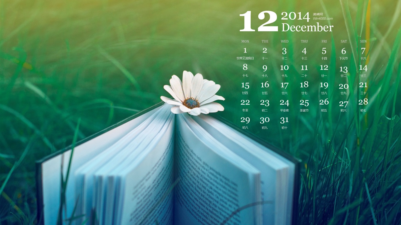 December 2014 Calendar wallpaper (1) #7 - 1366x768