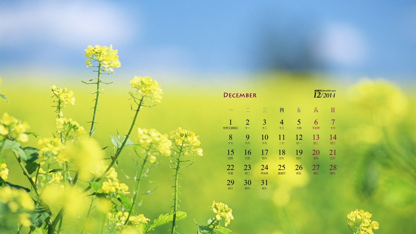 Dezember 2014 Kalender Wallpaper (1) #8 - 1366x768