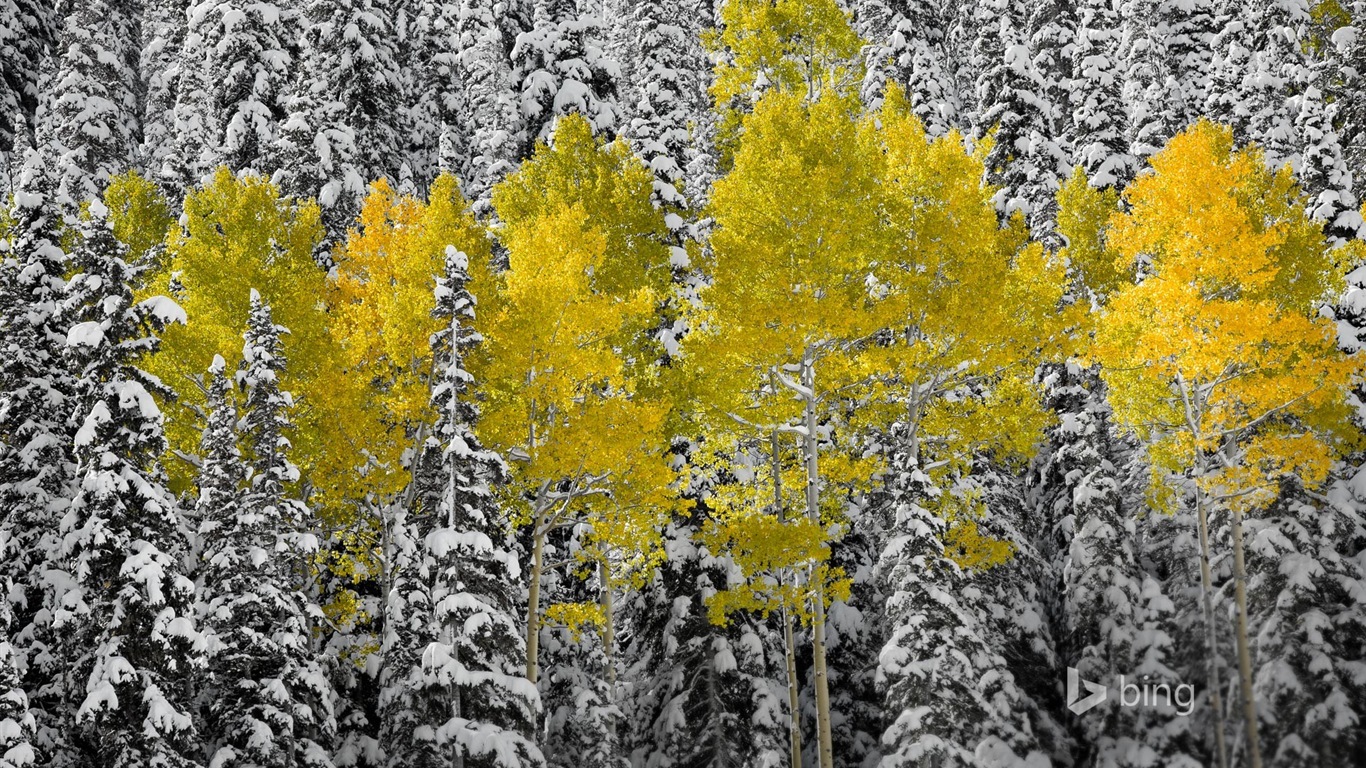 Ноябрь 2014 пейзаж обои Bing #5 - 1366x768