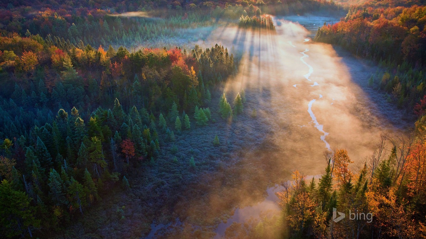 November 2014 Bing Landschaft Hintergrundbilder #9 - 1366x768