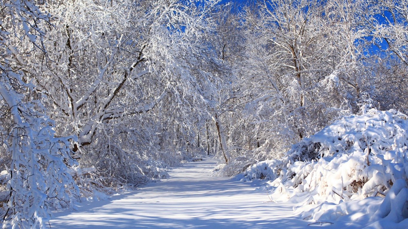 冬天的雪景，山，湖，树木，道路 高清壁纸5 - 1366x768