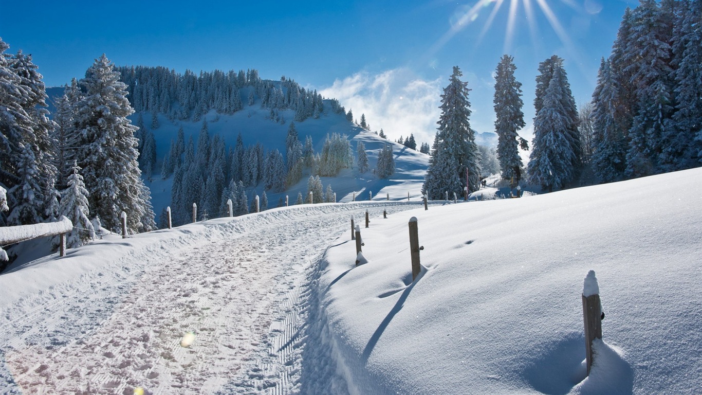 冬、雪、山、湖、木、道路のHDの壁紙 #6 - 1366x768