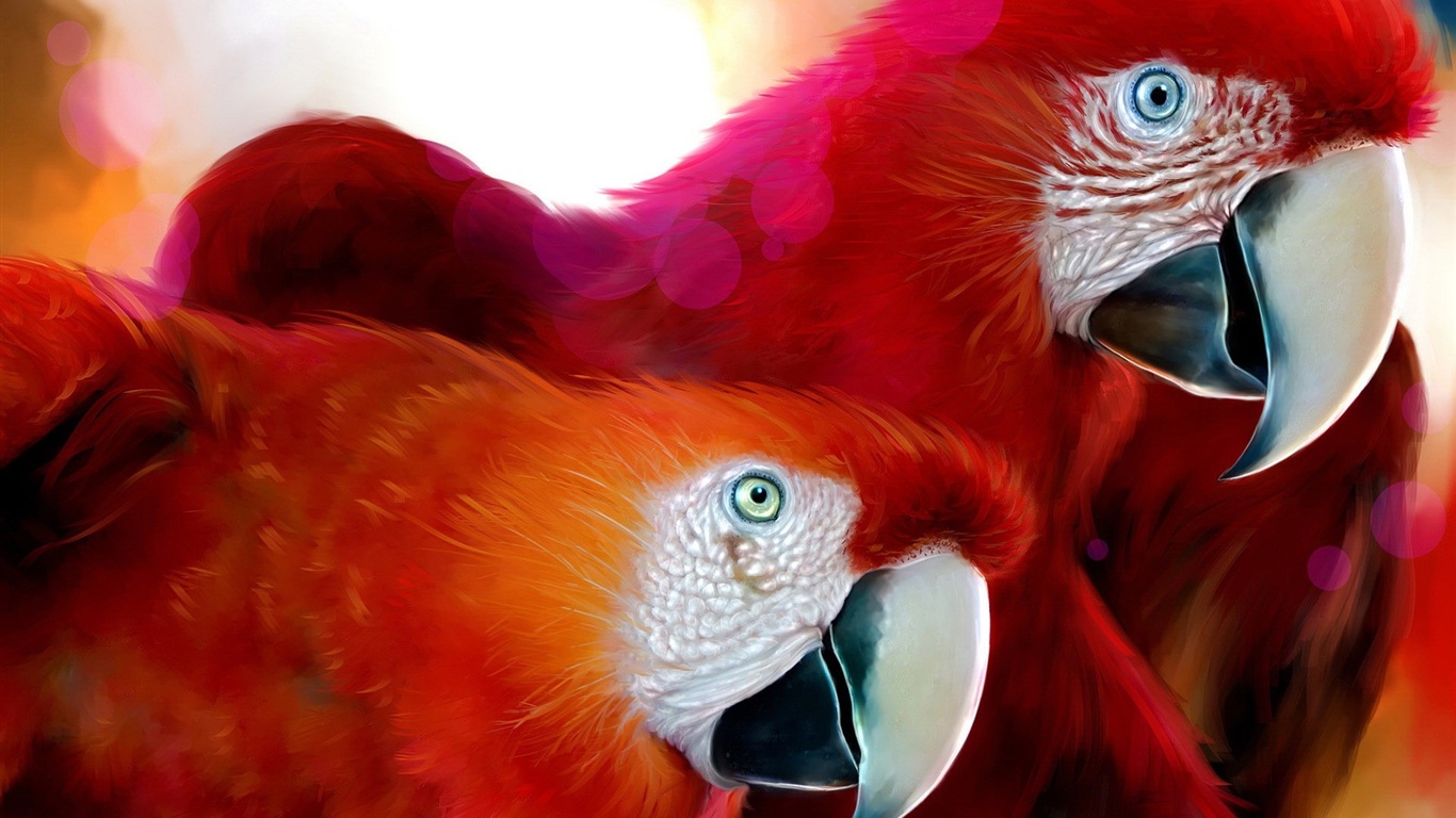 Macaw close-up fonds d'écran HD #28 - 1366x768