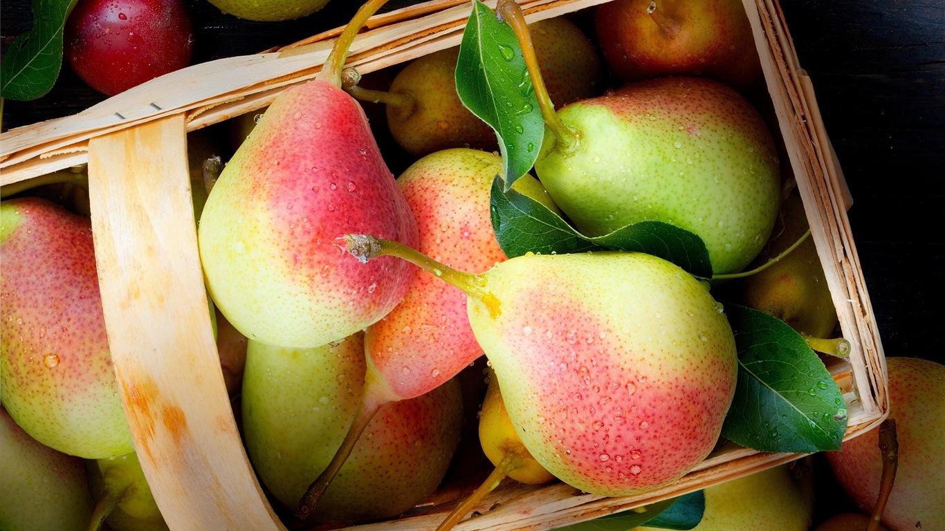 Succulent fruit, pears close-up HD wallpapers #1 - 1366x768