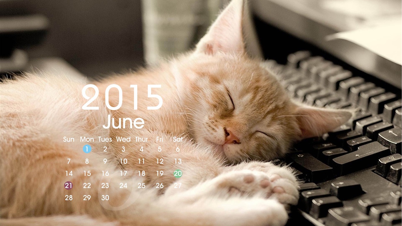 Kalender 2015 HD Wallpaper #19 - 1366x768