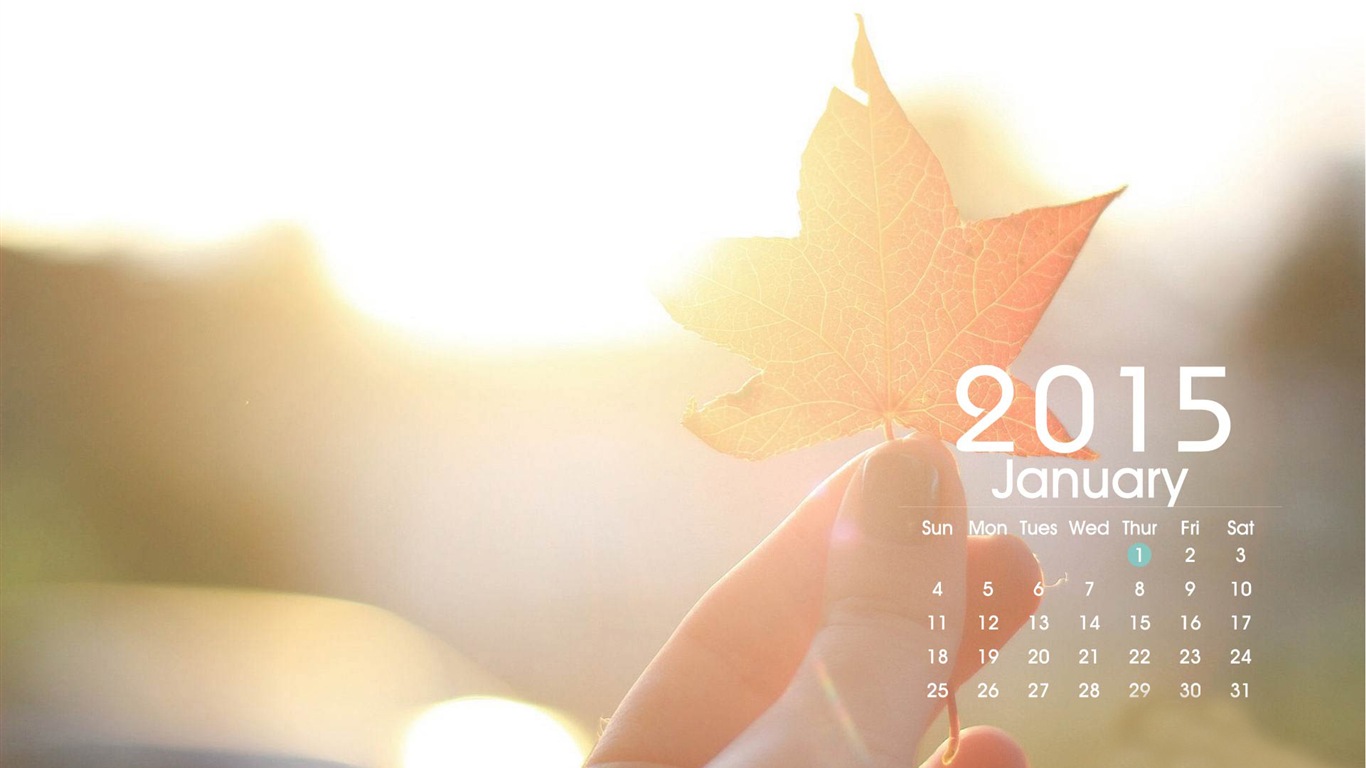 Calendar 2015 HD wallpapers #23 - 1366x768