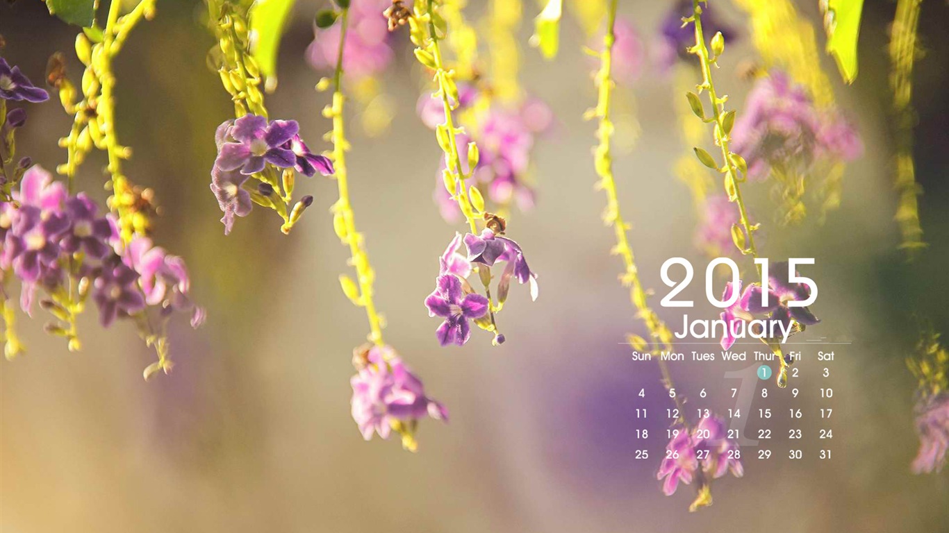 01. 2015 kalendář tapety (1) #1 - 1366x768
