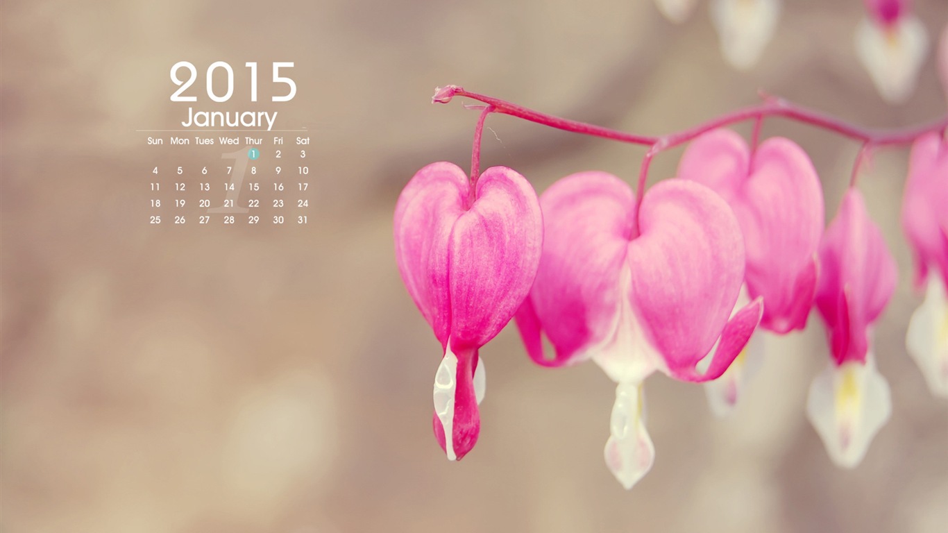 January 2015 calendar wallpaper (1) #9 - 1366x768