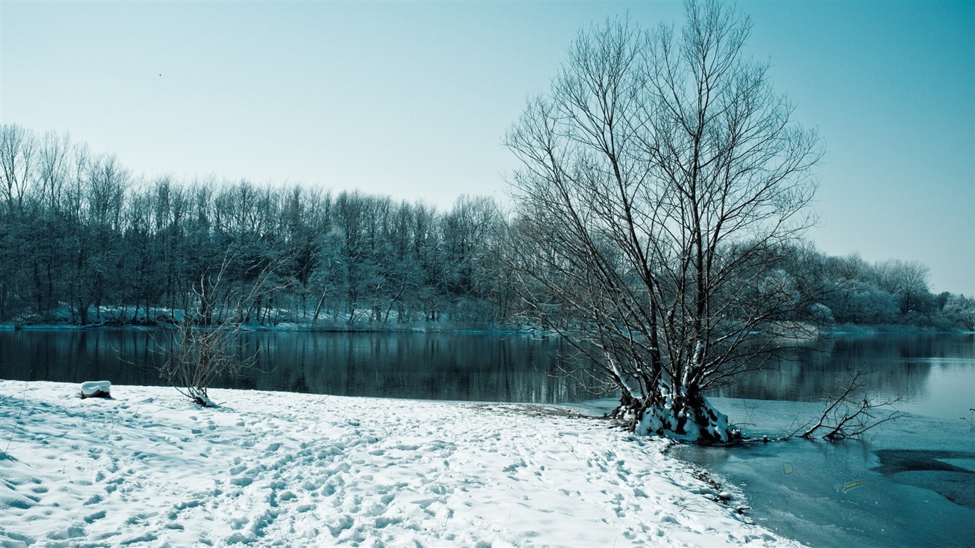 Zimní sníh Nádherná příroda HD tapety na plochu #6 - 1366x768