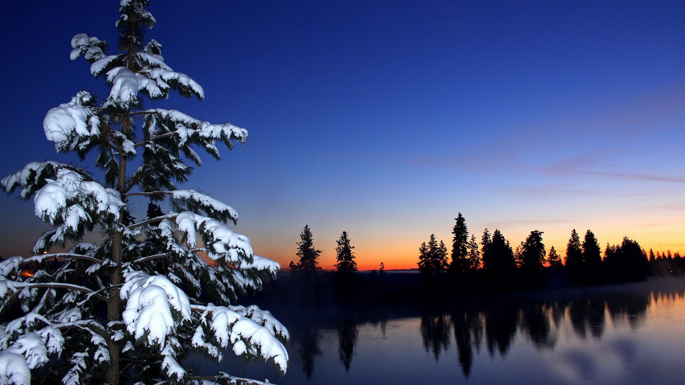 冬の雪の美しい風景のHDの壁紙 #10 - 1366x768