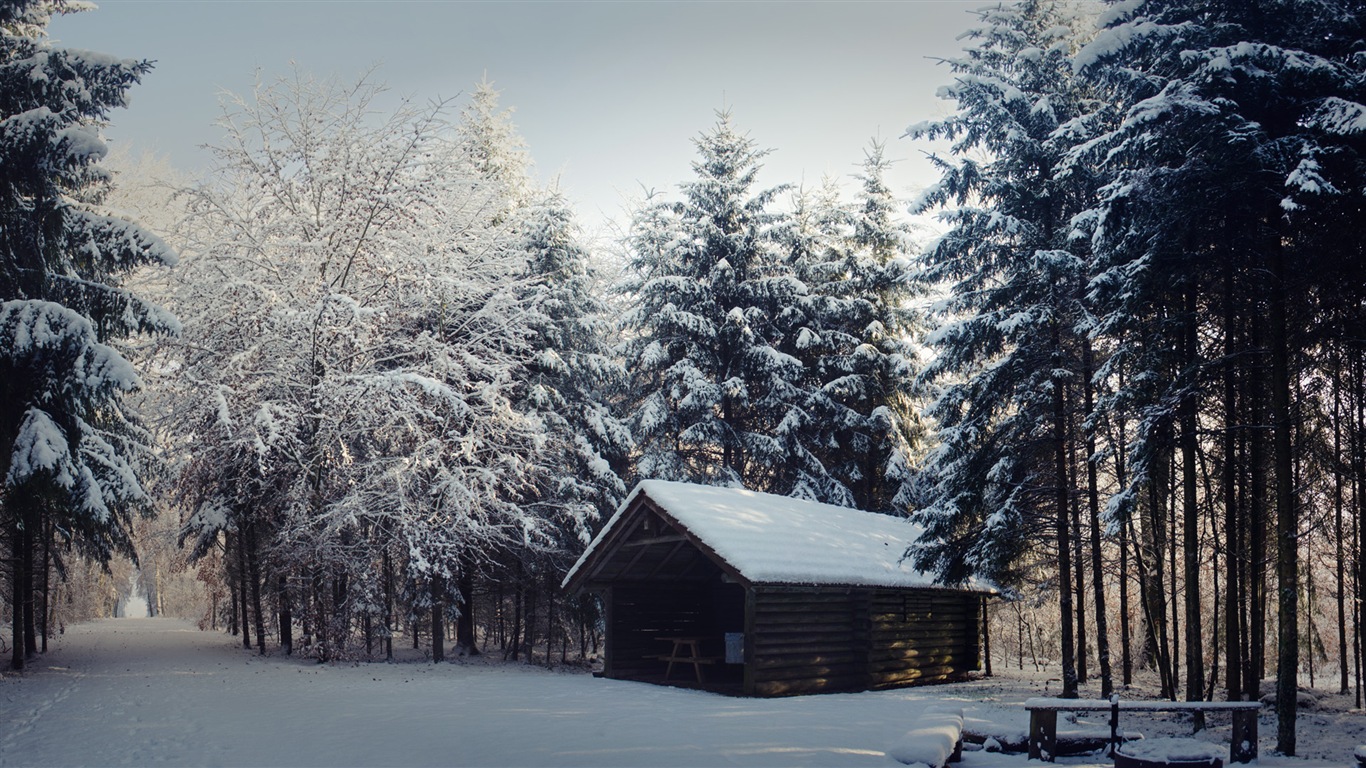 冬の雪の美しい風景のHDの壁紙 #12 - 1366x768