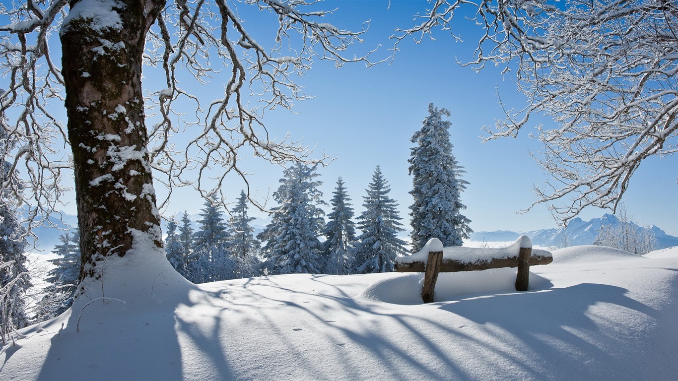 冬の雪の美しい風景のHDの壁紙 #13 - 1366x768