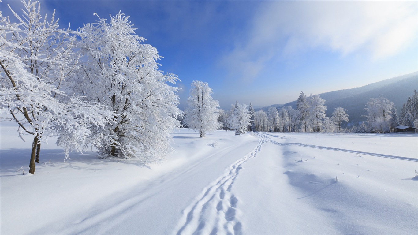 Zimní sníh Nádherná příroda HD tapety na plochu #14 - 1366x768