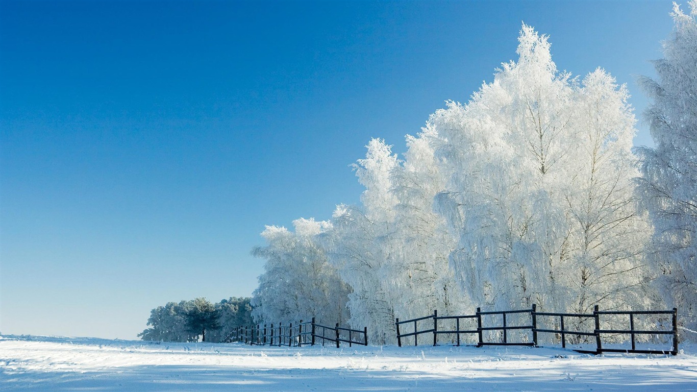 冬の雪の美しい風景のHDの壁紙 #15 - 1366x768