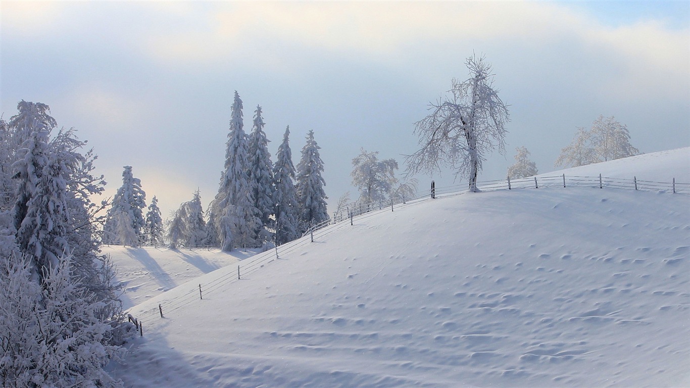 冬の雪の美しい風景のHDの壁紙 #16 - 1366x768