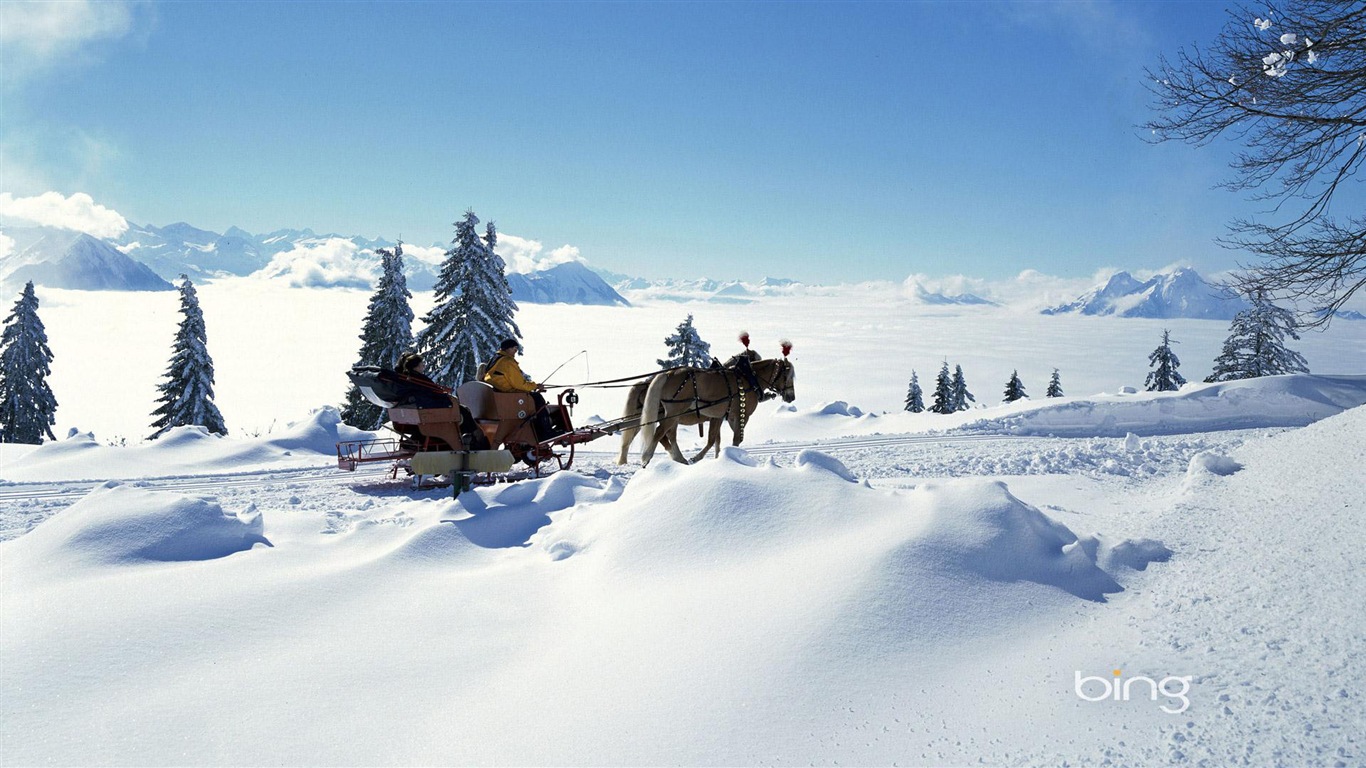 冬の雪の美しい風景のHDの壁紙 #17 - 1366x768