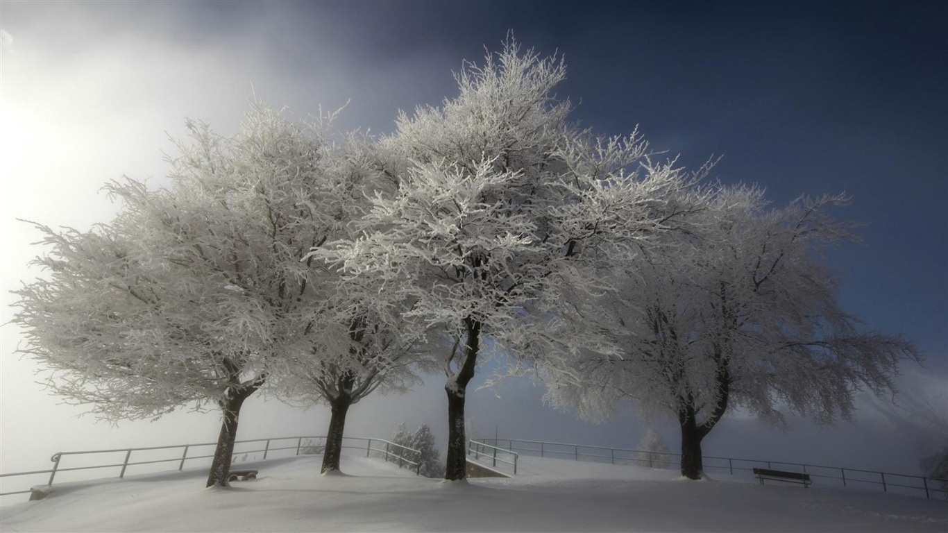 冬の雪の美しい風景のHDの壁紙 #18 - 1366x768