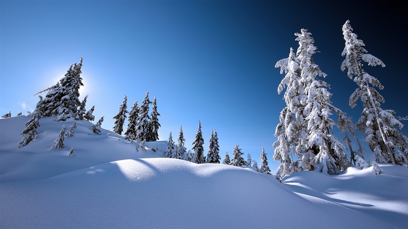 冬の雪の美しい風景のHDの壁紙 #19 - 1366x768