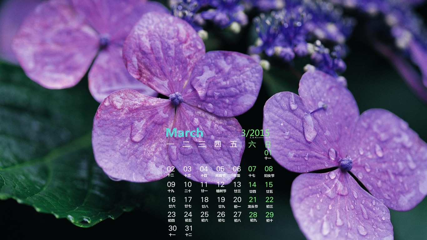 Март 2015 Календарь обои (1) #5 - 1366x768