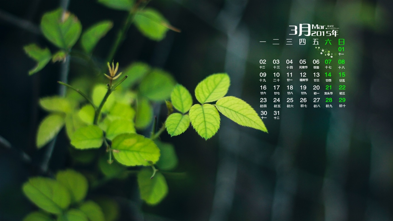 März 2015 Kalender Tapete (1) #19 - 1366x768