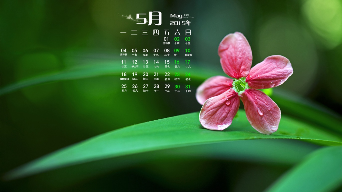 Mai 2015 calendar fond d'écran (1) #8 - 1366x768