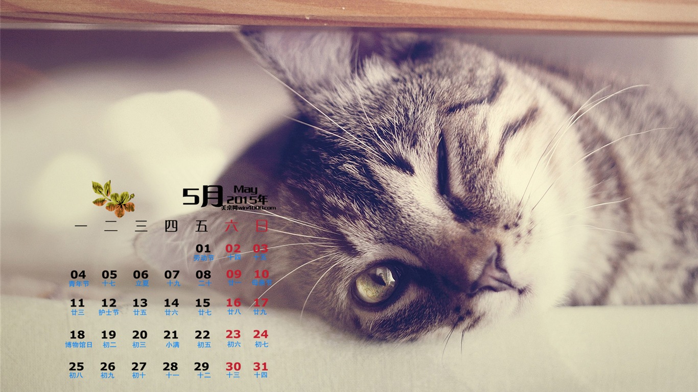 Mai 2015 calendar fond d'écran (1) #14 - 1366x768