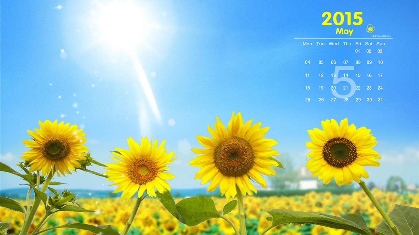 Mai 2015 calendar fond d'écran (1) #17 - 1366x768