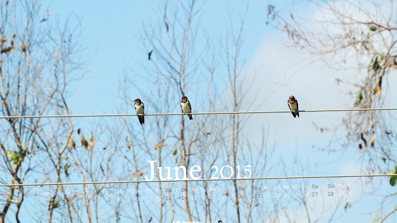 2015年6月カレンダー壁紙（2） #15 - 1366x768