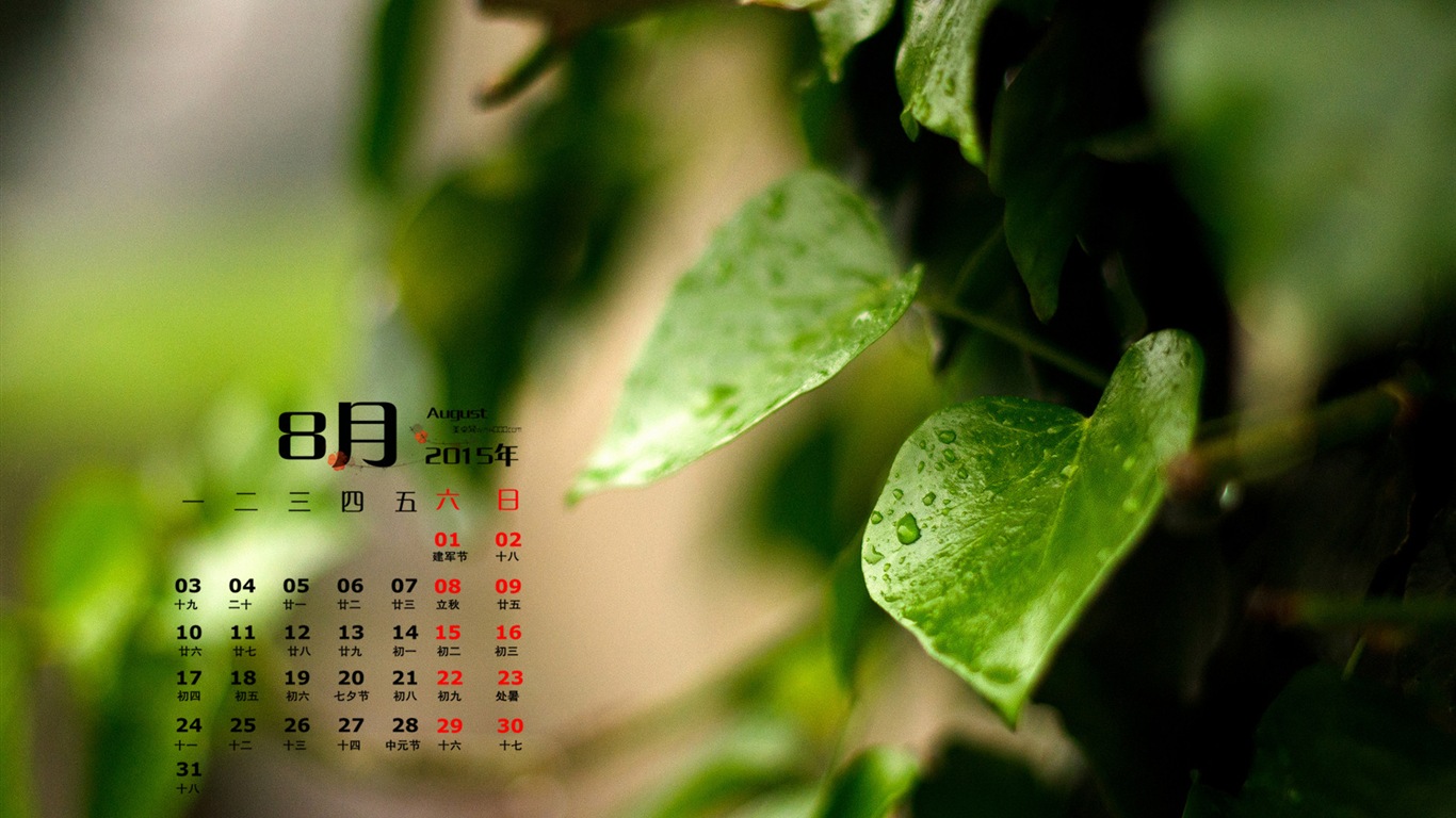 08. 2015 kalendář tapety (1) #11 - 1366x768