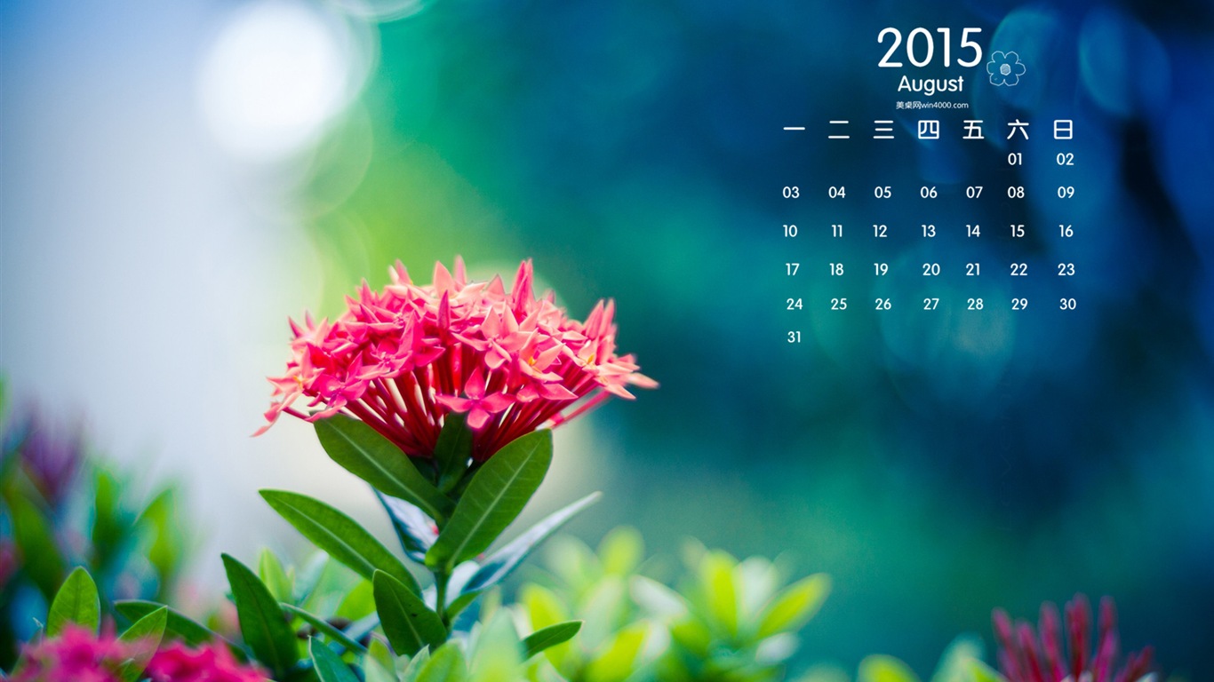 08. 2015 kalendář tapety (1) #12 - 1366x768