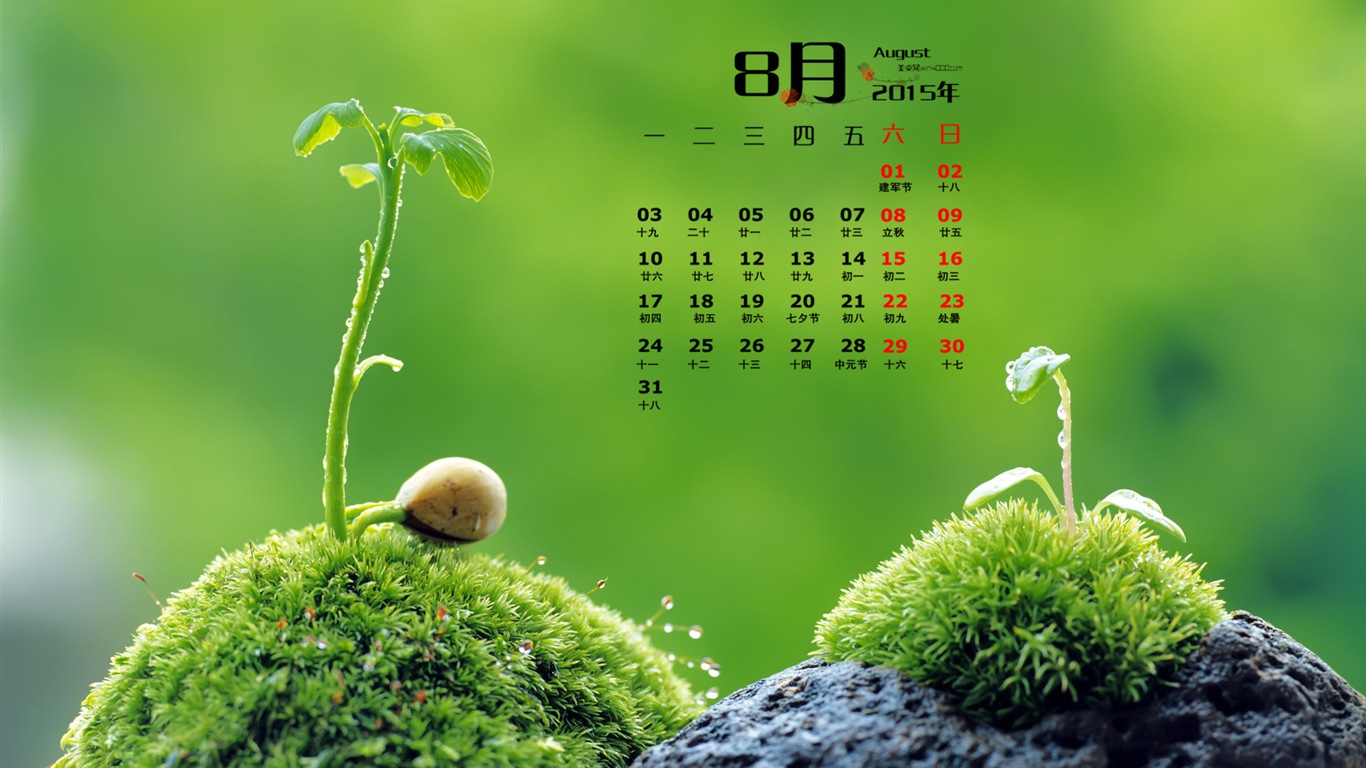 08. 2015 kalendář tapety (1) #16 - 1366x768
