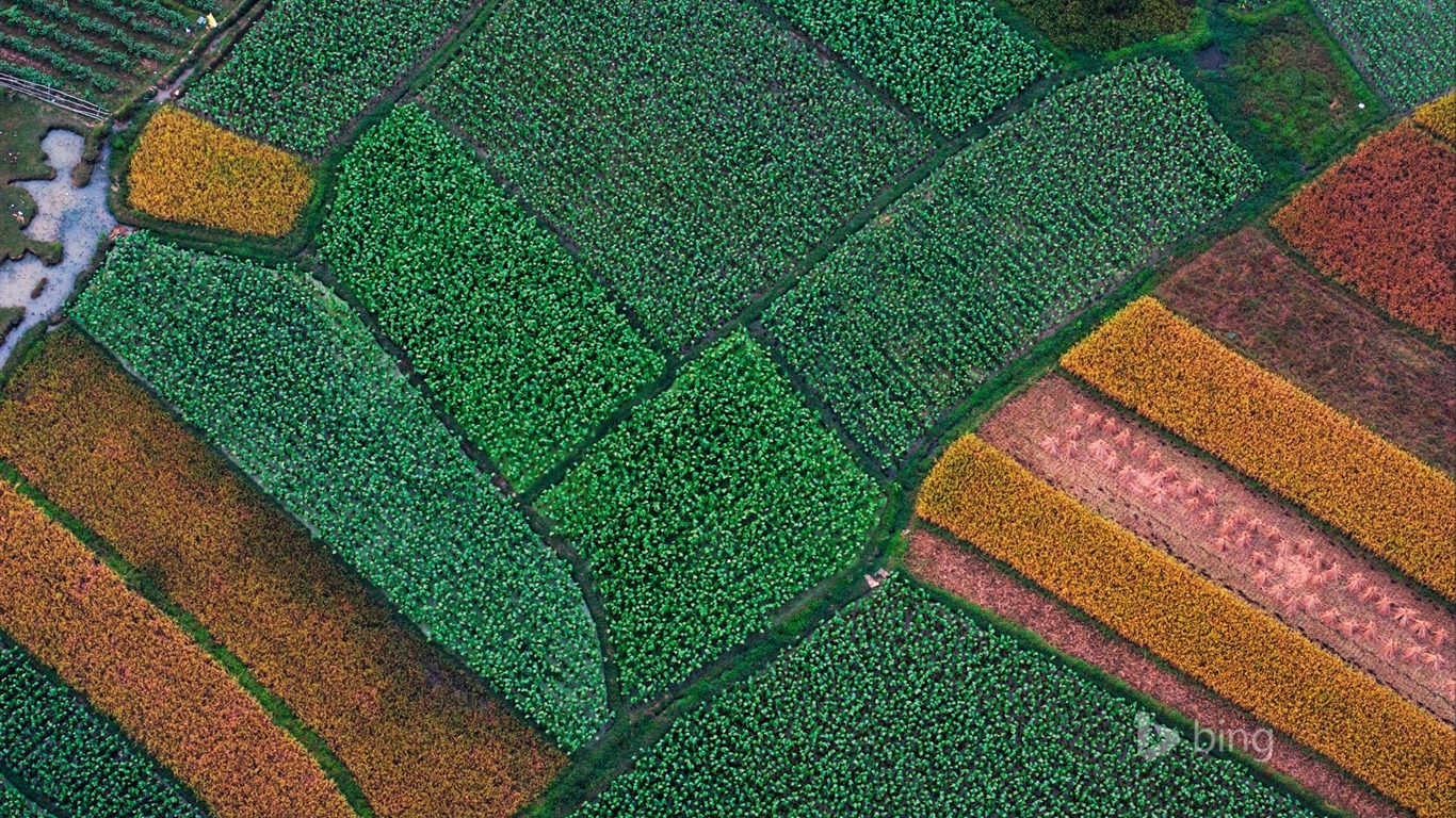 Abril de 2015 fondos de pantalla HD Bing #16 - 1366x768