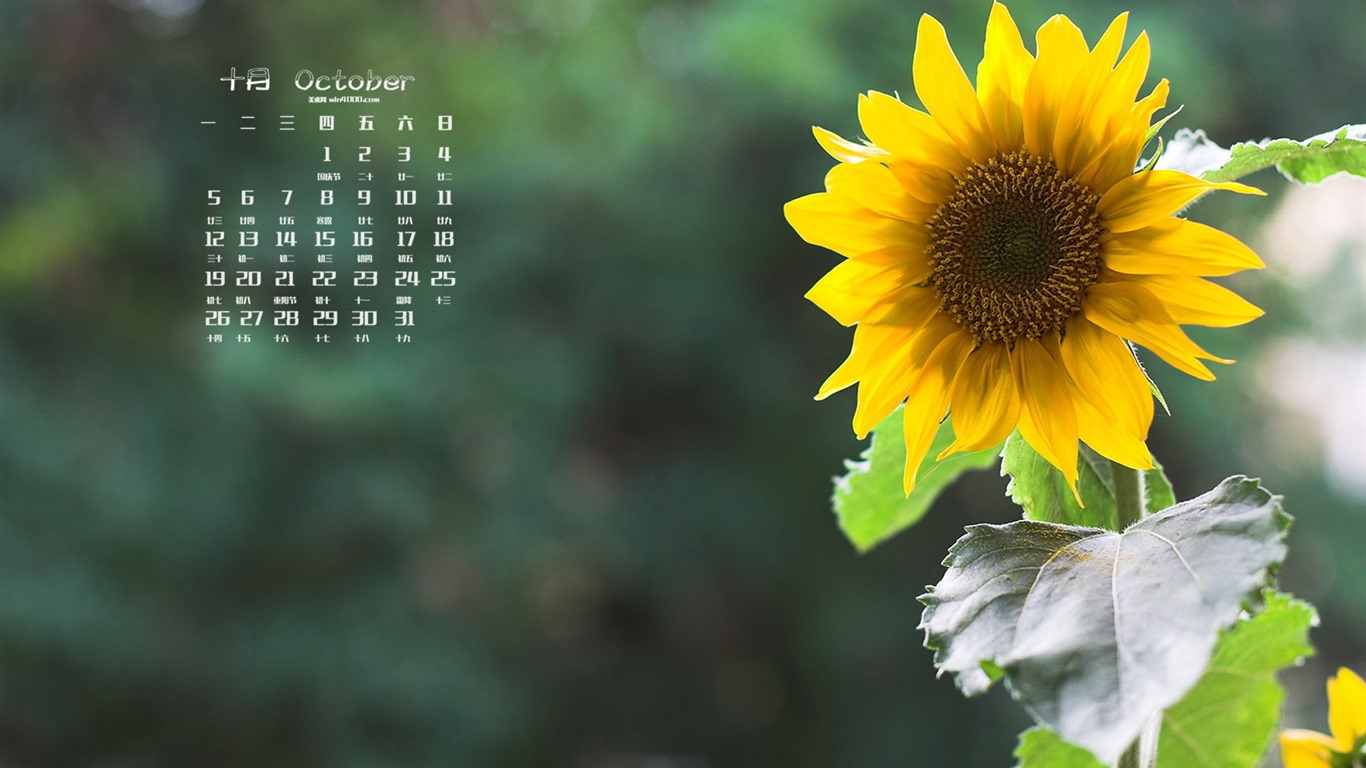 Října 2015 kalendář tapety (1) #2 - 1366x768