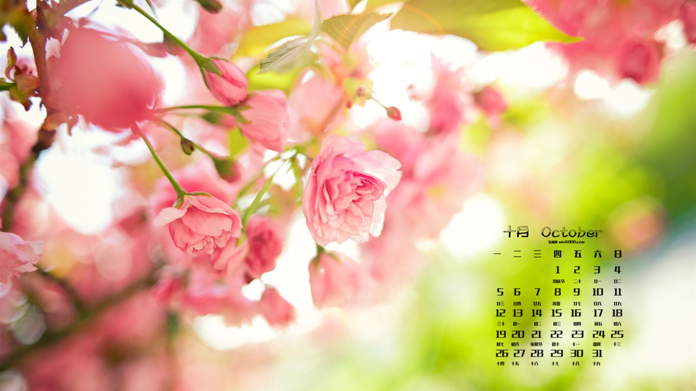 Oktober 2015 Kalender Wallpaper (1) #9 - 1366x768