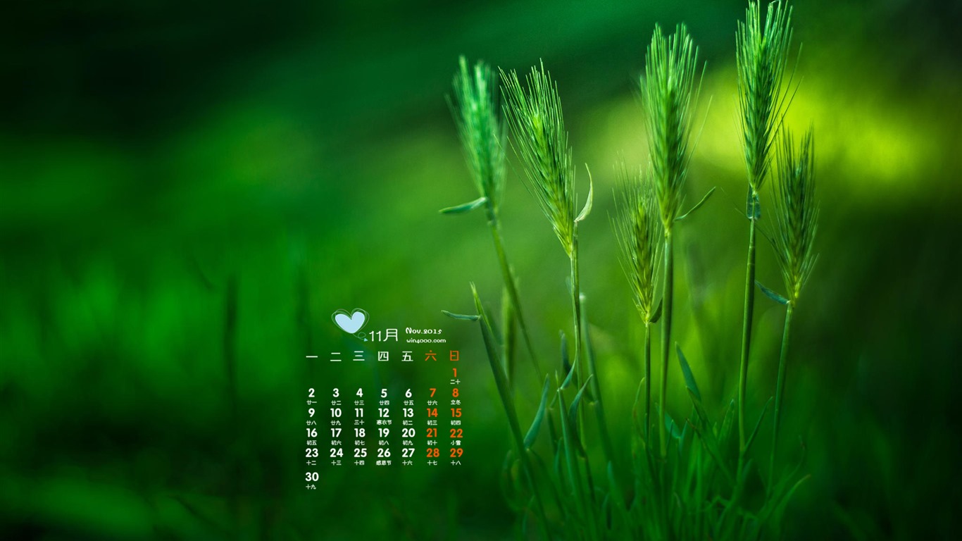 Novembre 2015 Calendrier fond d'écran (2) #2 - 1366x768