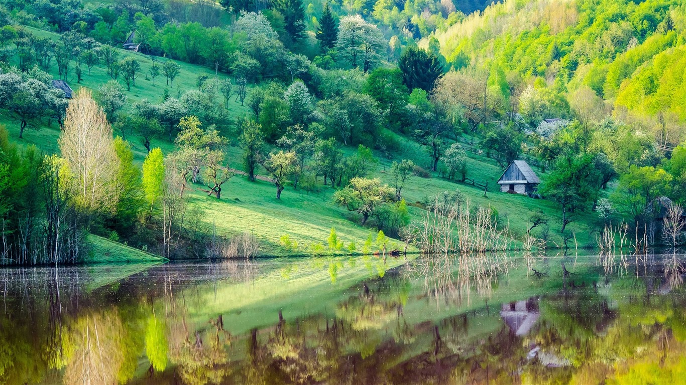 나무, 산, 물, 일출과 일몰, 자연 풍경의 HD 배경 화면 #24 - 1366x768