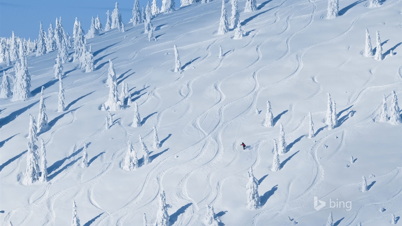 De enero de 2016 fondos de pantalla HD tema de Bing #2 - 1366x768