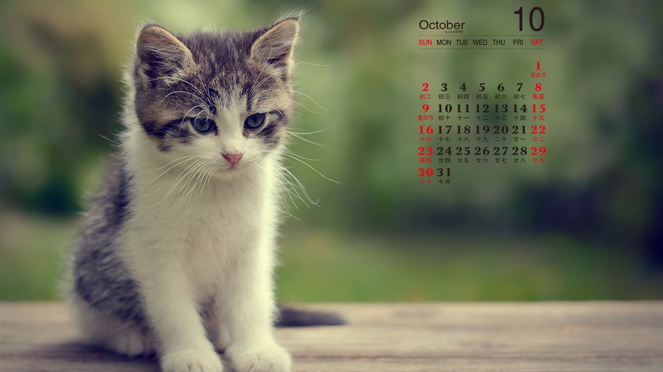 Octobre 2016 calendrier fond d'écran (1) #8 - 1366x768
