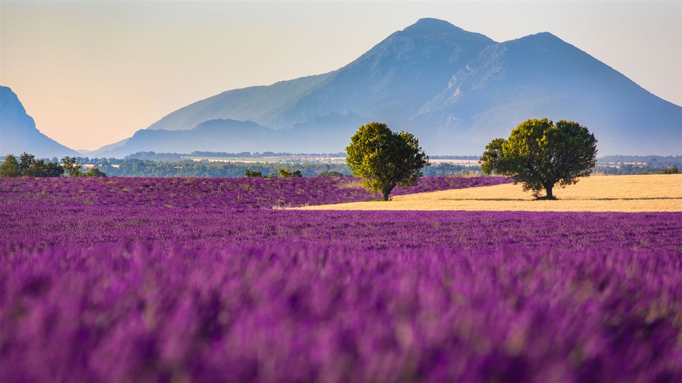 Septembre 2016 Bing thème Fonds d'écran HD (1) #31 - 1366x768