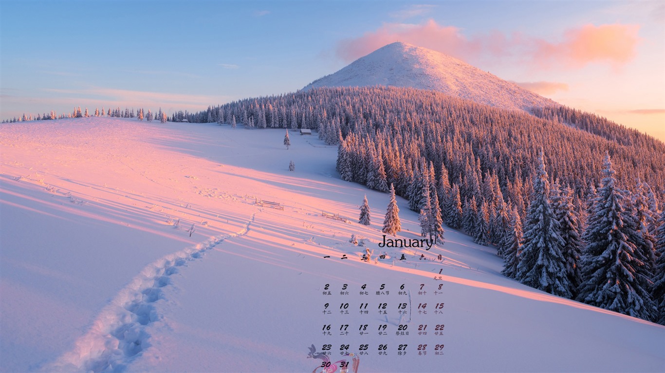 Januar 2017 Kalender Hintergrund (1) #7 - 1366x768