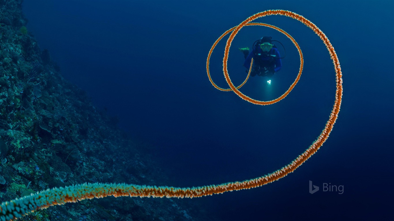 Août 2017 Bing thème Fond d'écran HD #3 - 1366x768