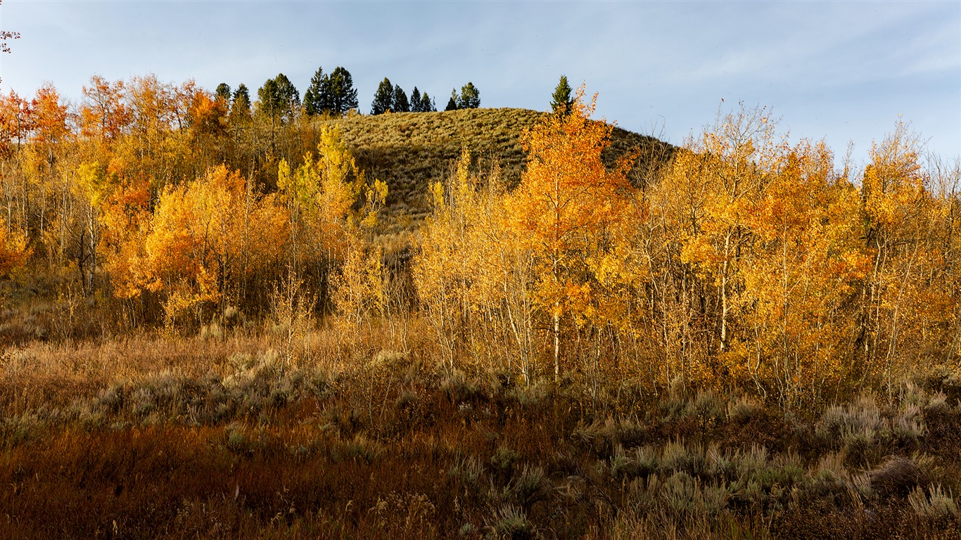 미국 그랜드 Teton 국립 공원 자연 풍경의 HD 월페이퍼 #14 - 1366x768