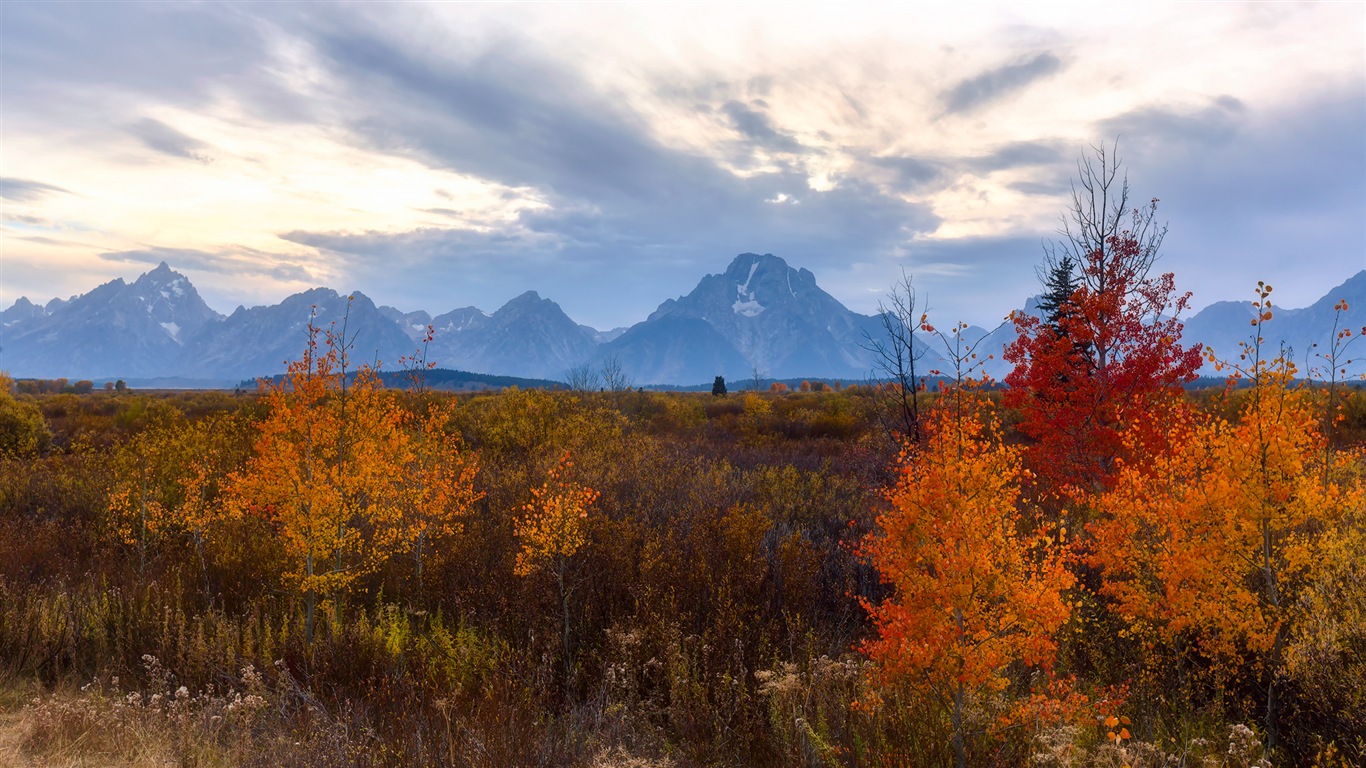 미국 그랜드 Teton 국립 공원 자연 풍경의 HD 월페이퍼 #17 - 1366x768