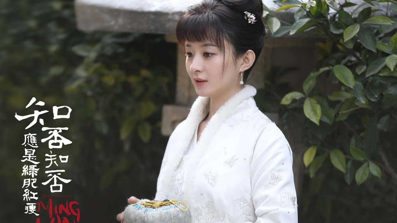 The Story Of MingLan, TV series HD wallpapers #51 - 1366x768