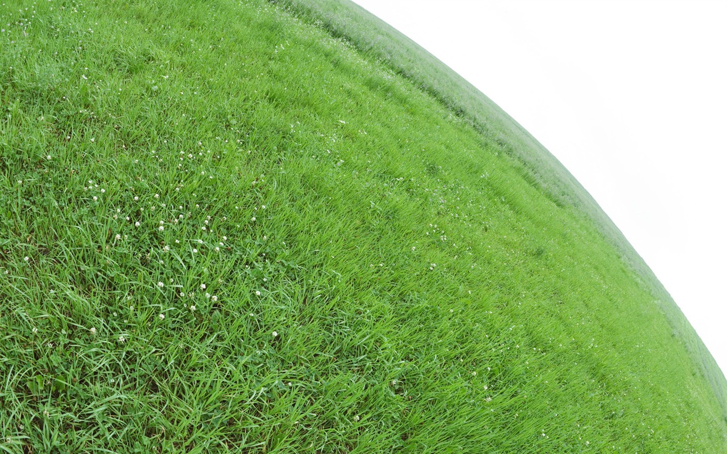 绿色草地(一)12 - 1440x900