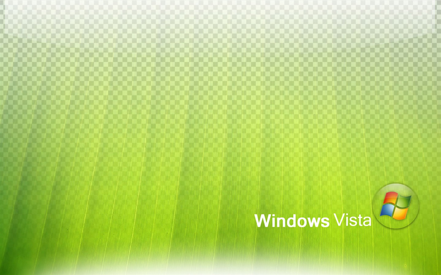 Vista écran Album #4 - 1440x900