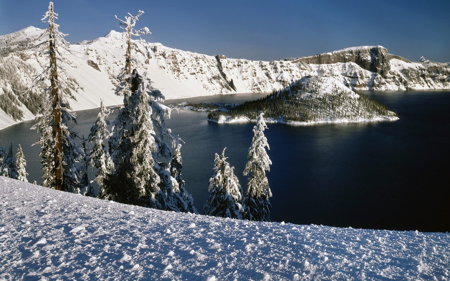 Sníh lesa tapetu (3) #4 - 1440x900