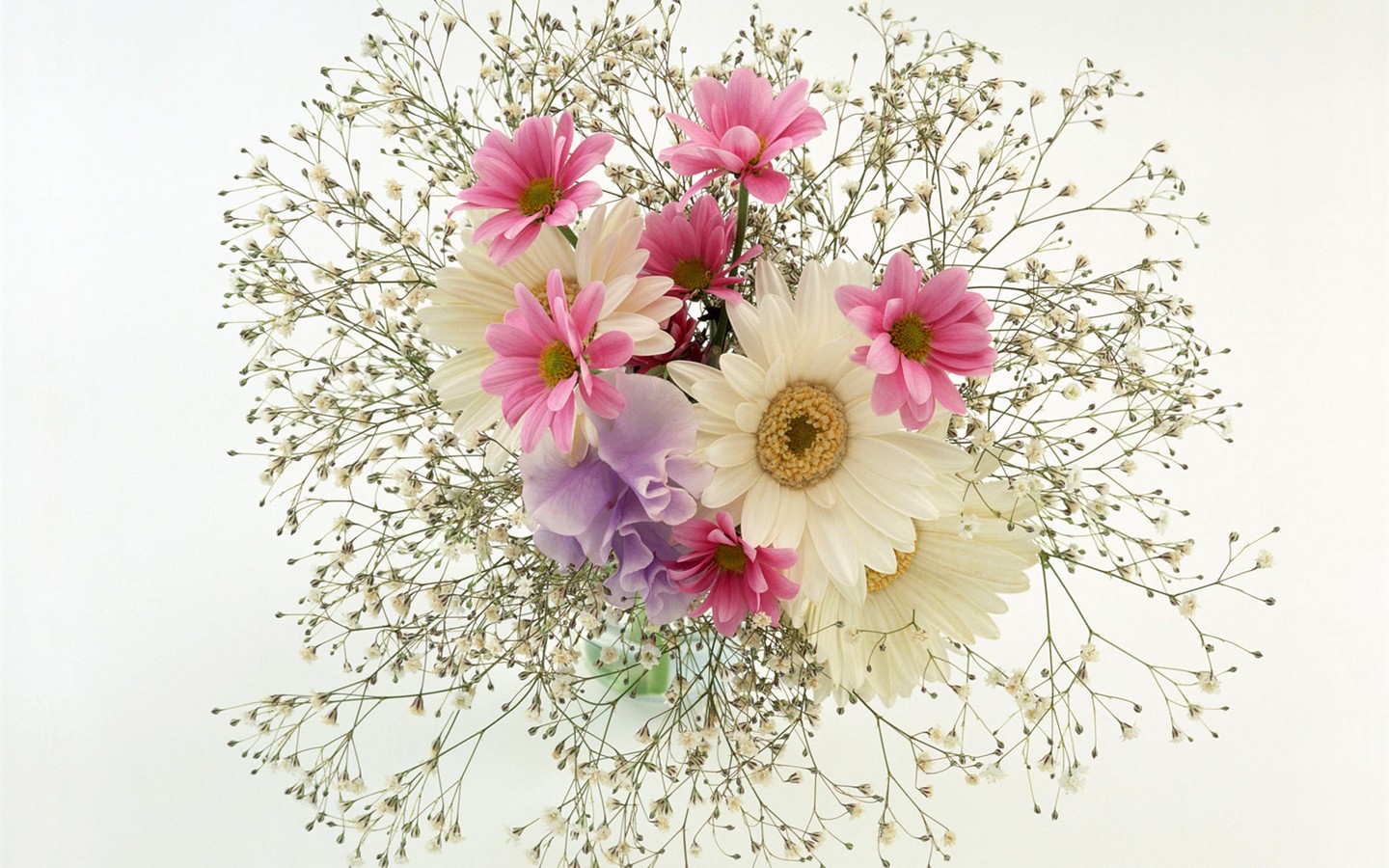 Flower Hintergrundbilder Selection (1) #19 - 1440x900
