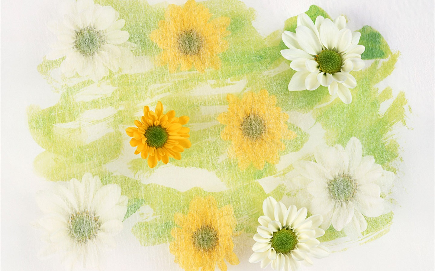 Květ Tapety na plochu výběr (1) #39 - 1440x900