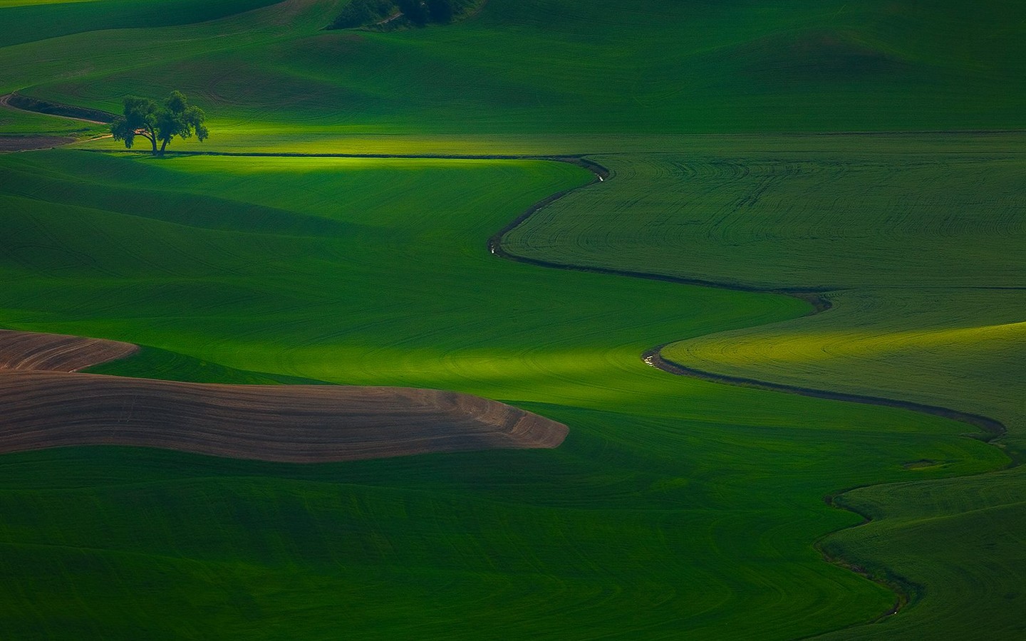 Hermoso paisaje de fondo de pantalla álbumes #20 - 1440x900